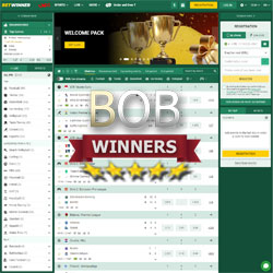 Betwinner Betting Site