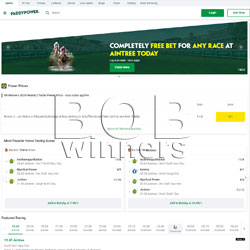 Paddy Power Betting Site